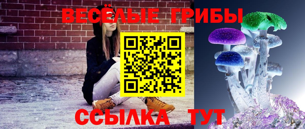 Галлюциногенные грибы прущие грибы  Псилоцибиновые грибы MAGIC MUSHROOMS  купить   Сургут  Вход с VPN 