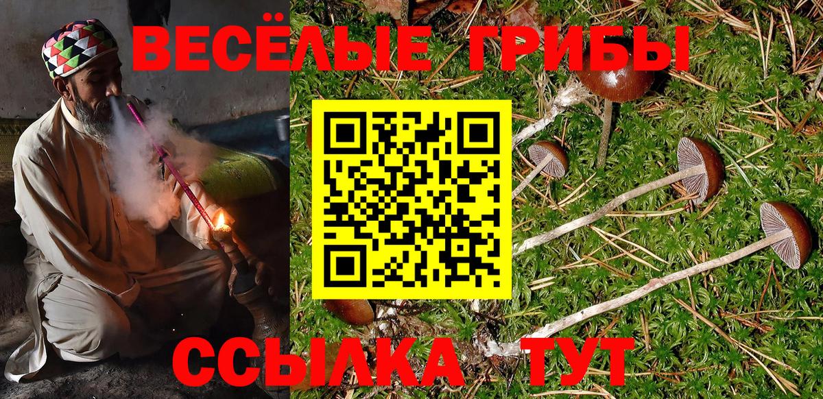 Галлюциногенные грибы ЛСД Сургут
